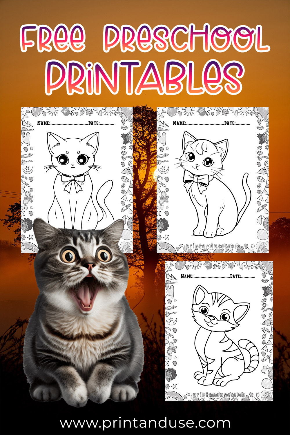 Cat Coloring Pages