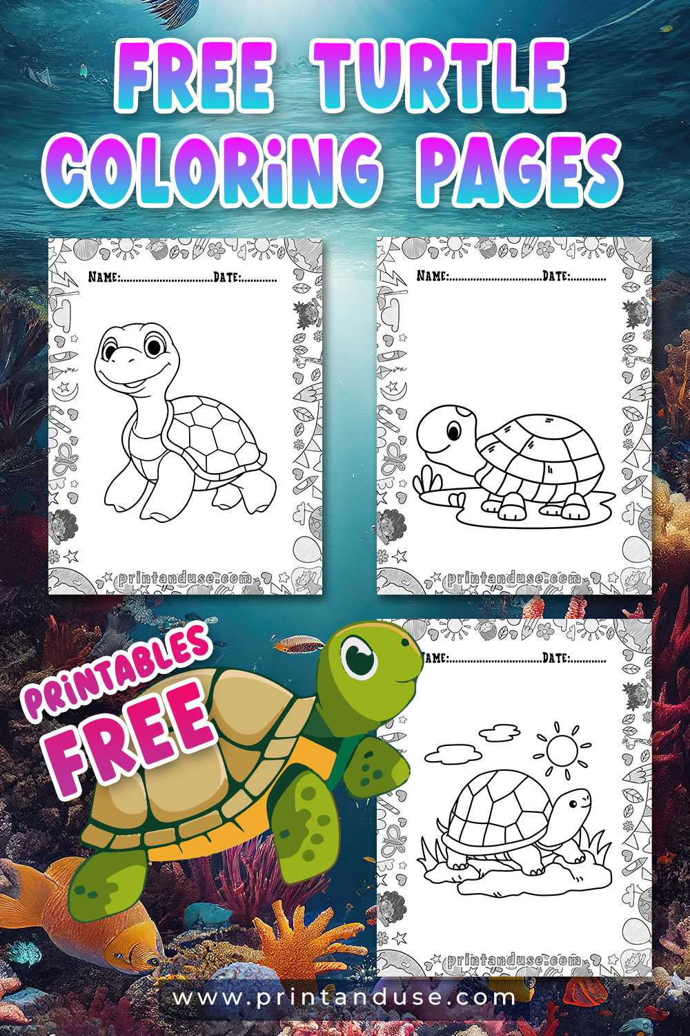 Turtle Coloring Page